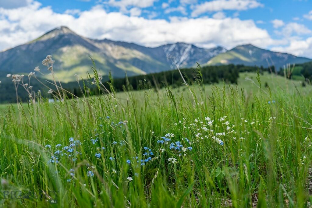 00 Above Paradise Trail, Livingston MT 59047
