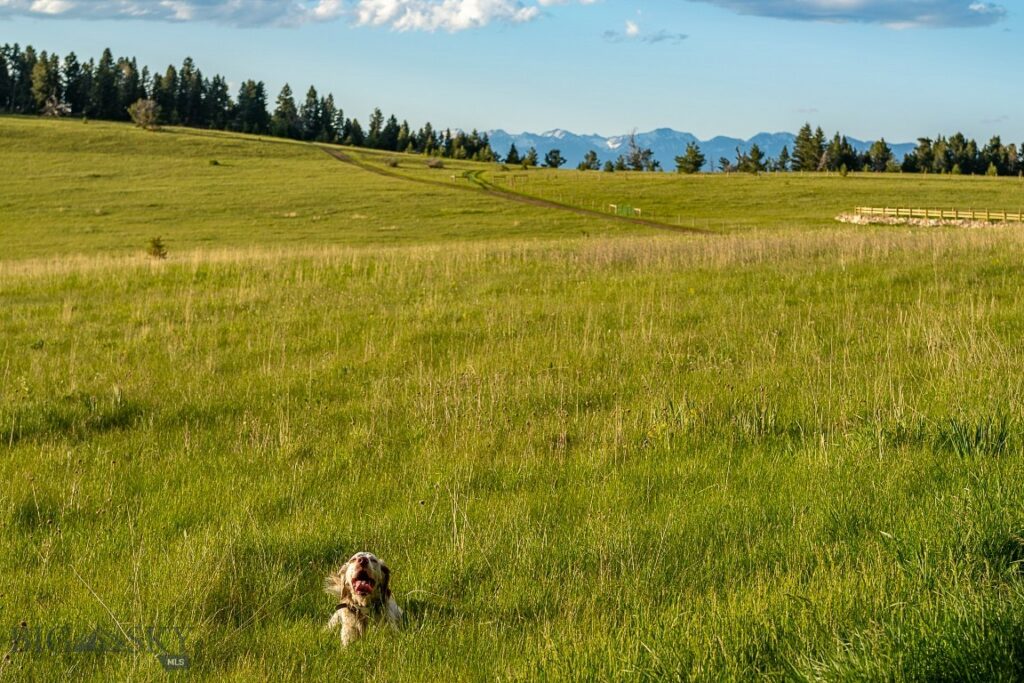 00 Above Paradise Trail, Livingston MT 59047