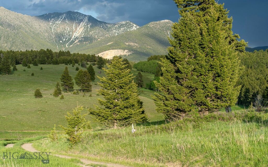 00 Above Paradise Trail, Livingston MT 59047