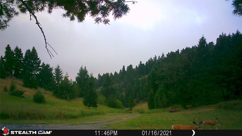 1 Seven Point Road, Livingston MT 59047