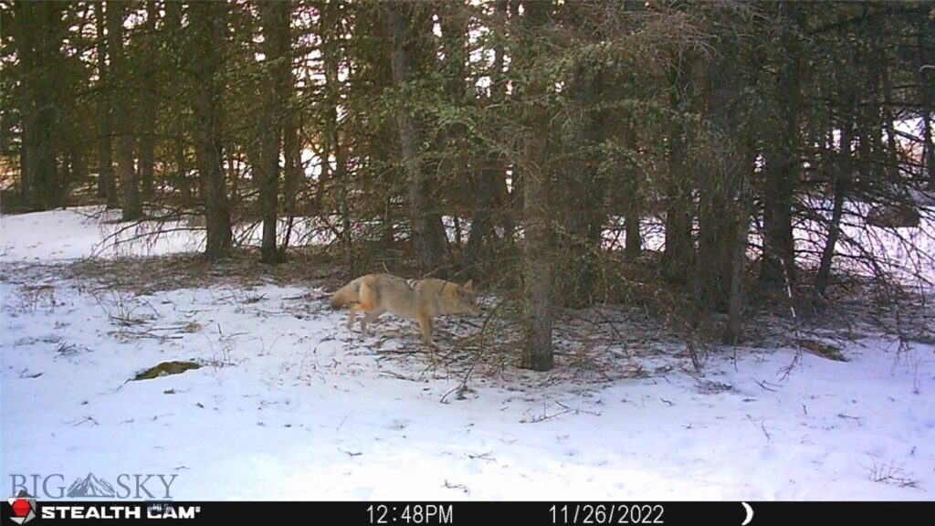 1 Seven Point Road, Livingston MT 59047