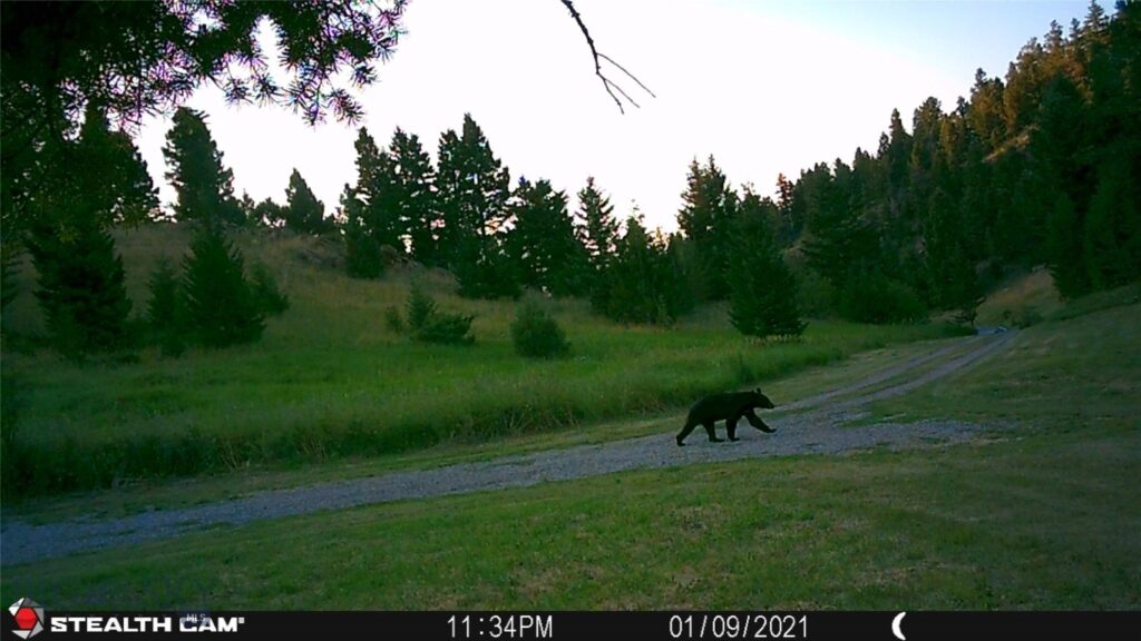 1 Seven Point Road, Livingston MT 59047