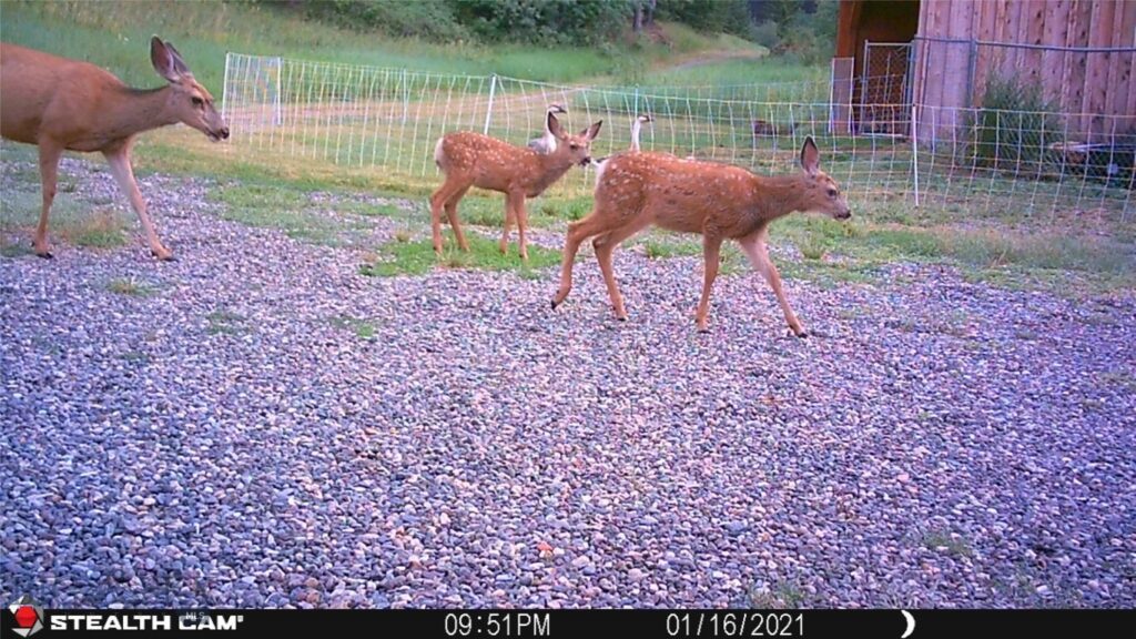 1 Seven Point Road, Livingston MT 59047