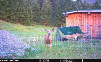 1 Seven Point Road, Livingston MT 59047