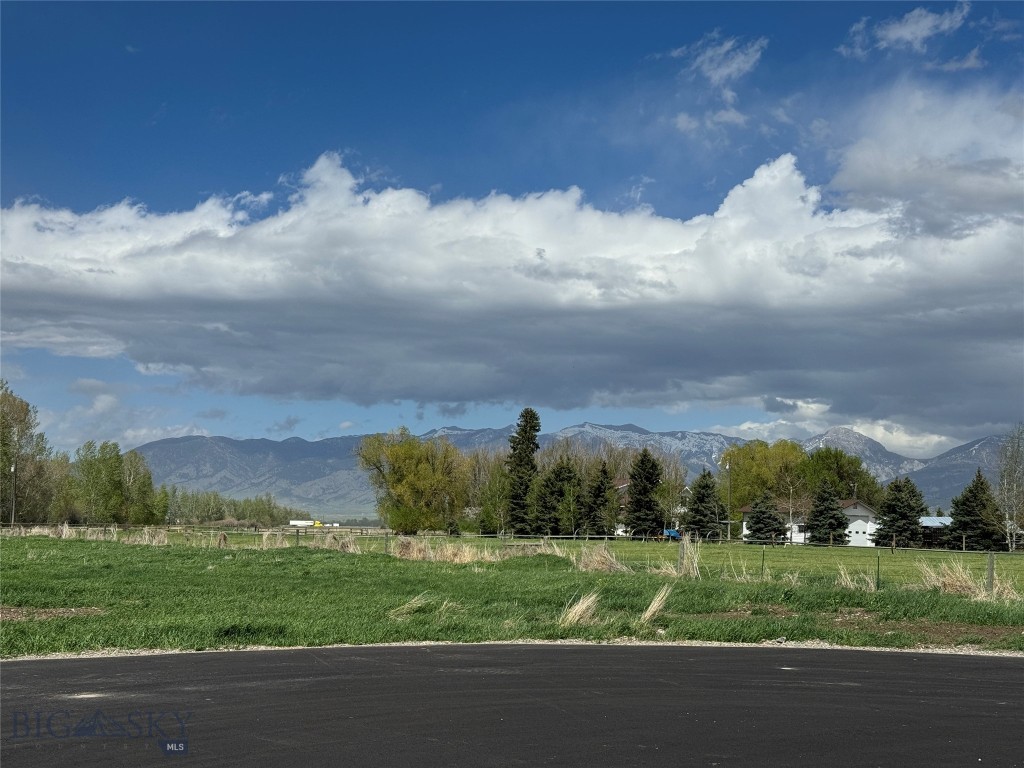 10 Liberty Drive, Bozeman MT 59718