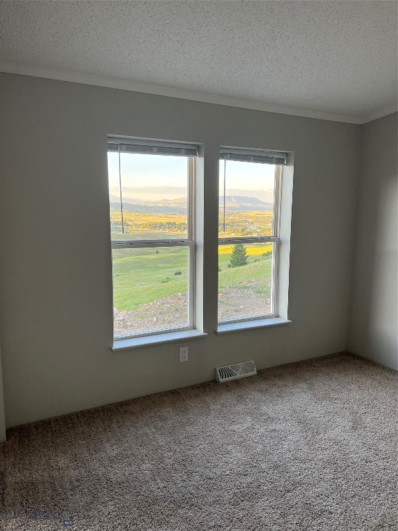 1003 Ridgeway Drive, Livingston MT 59047