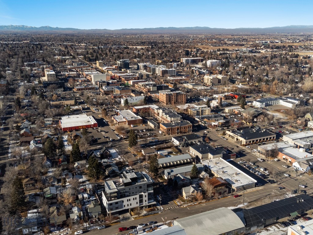 101 S Wallace Avenue, Bozeman MT 59715
