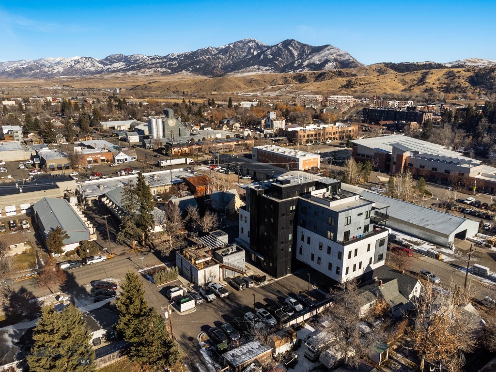 101 S Wallace Avenue, Bozeman MT 59715