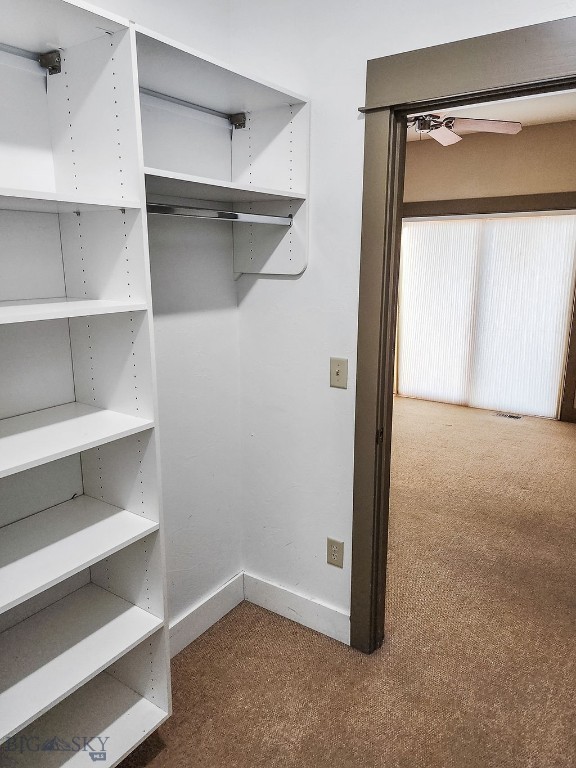 102 Nostalgia Lane, Bozeman MT 59715