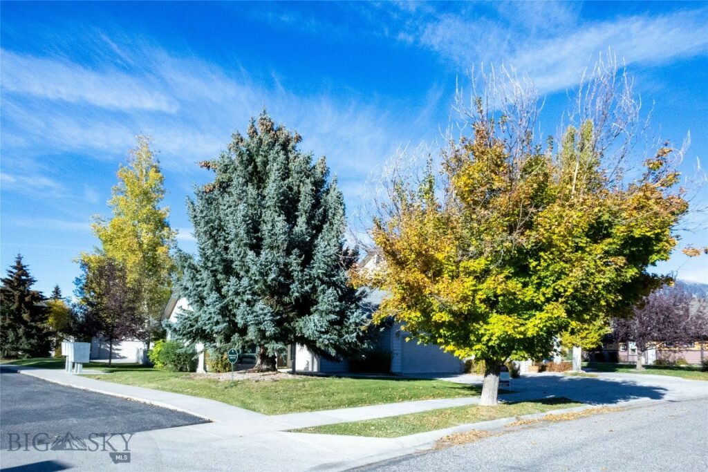 1031 Boylan, Bozeman MT 59715