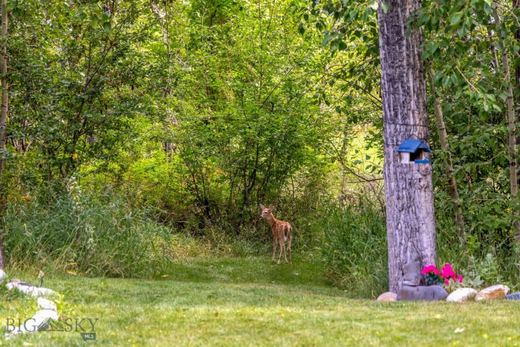 106 Milky Way Drive, Bozeman MT 59718