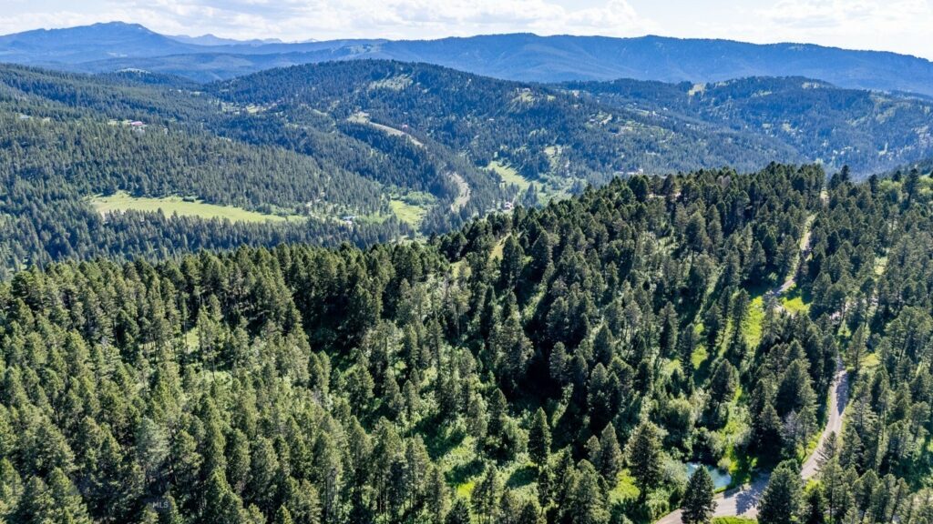 1062 Johnny Martinez Trail, Bozeman MT 59715