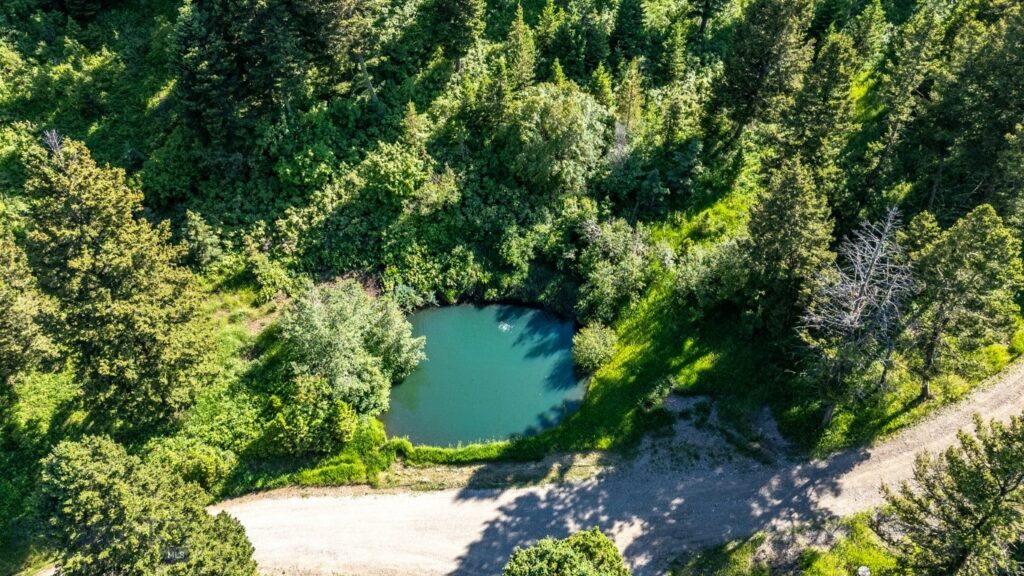 1062 Johnny Martinez Trail, Bozeman MT 59715