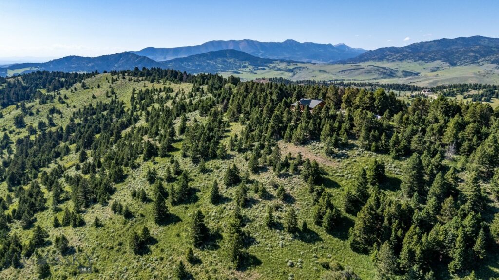 1062 Johnny Martinez Trail, Bozeman MT 59715