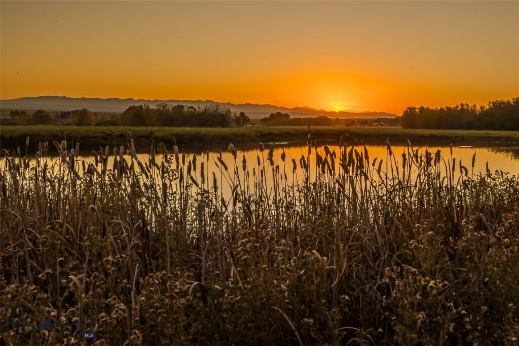 10669 Gee Norman Road, Belgrade MT 59714