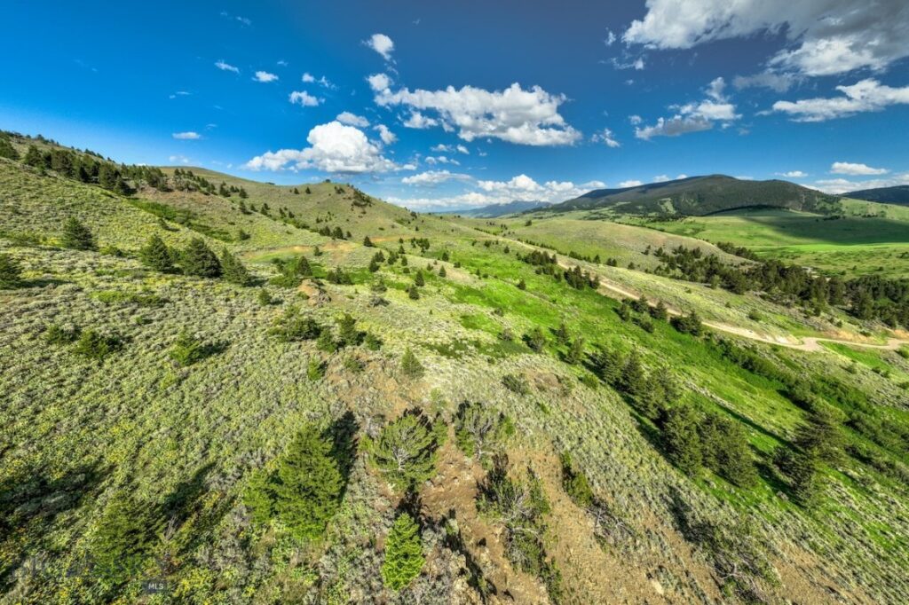 107 Eldridge Creek Trail, Livingston MT 59047