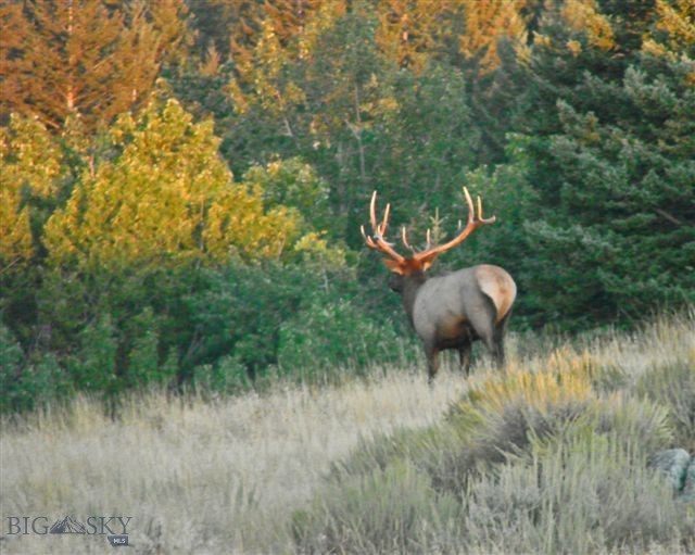 107 Eldridge Creek Trail, Livingston MT 59047