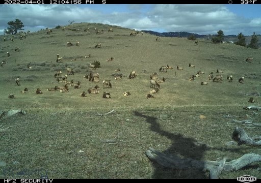 107 Eldridge Creek Trail, Livingston MT 59047