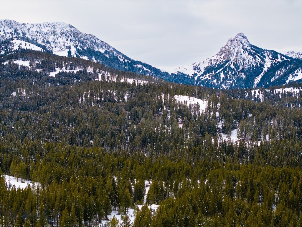 107 Winter Lane, Bozeman MT 59715