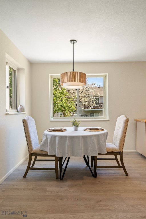108 Secretariat Circle, Belgrade MT 59714