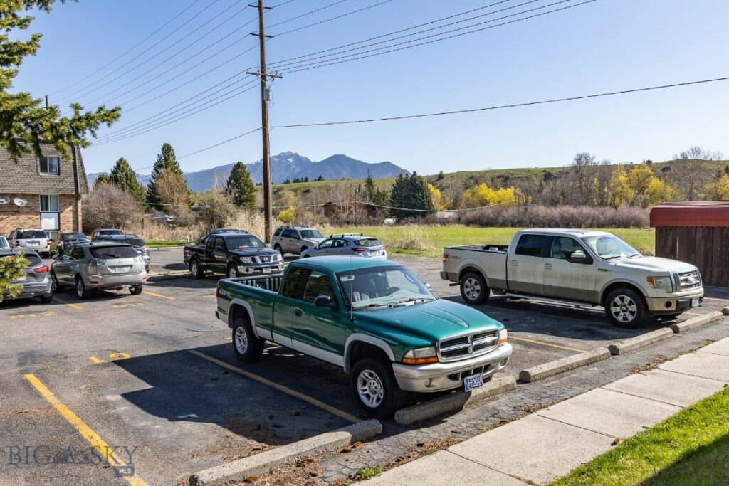 1104 S Montana Avenue, Bozeman MT 59715