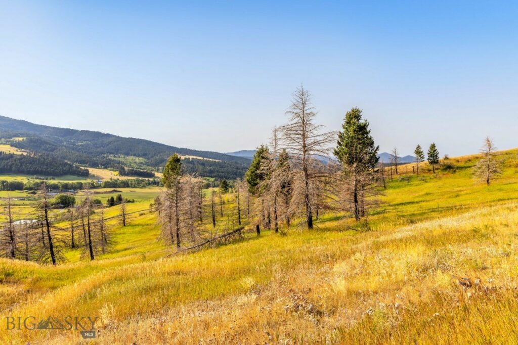 111 Bridger Spring Trail, Bozeman MT 59715