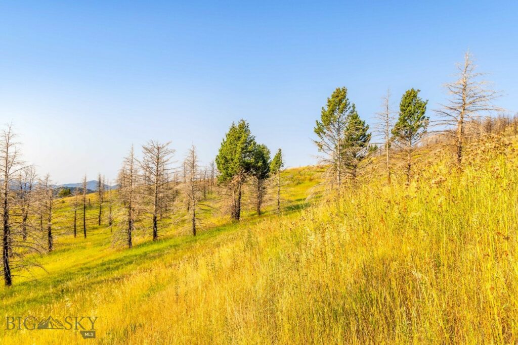 111 Bridger Spring Trail, Bozeman MT 59715