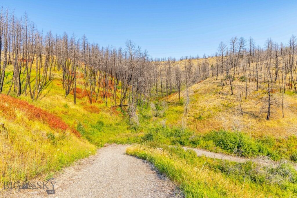 111 Bridger Spring Trail, Bozeman MT 59715