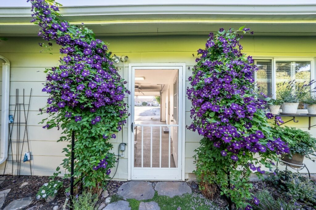 1120 W Babcock Street, Bozeman MT 59715