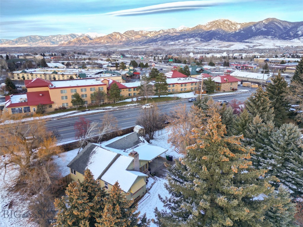 1232 N 8th Avenue, Bozeman MT 59715