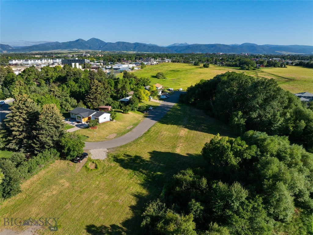 1233 N 8th Avenue, Bozeman MT 59715