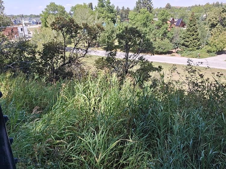 1234 HILLSIDE Lane, Bozeman MT 59715