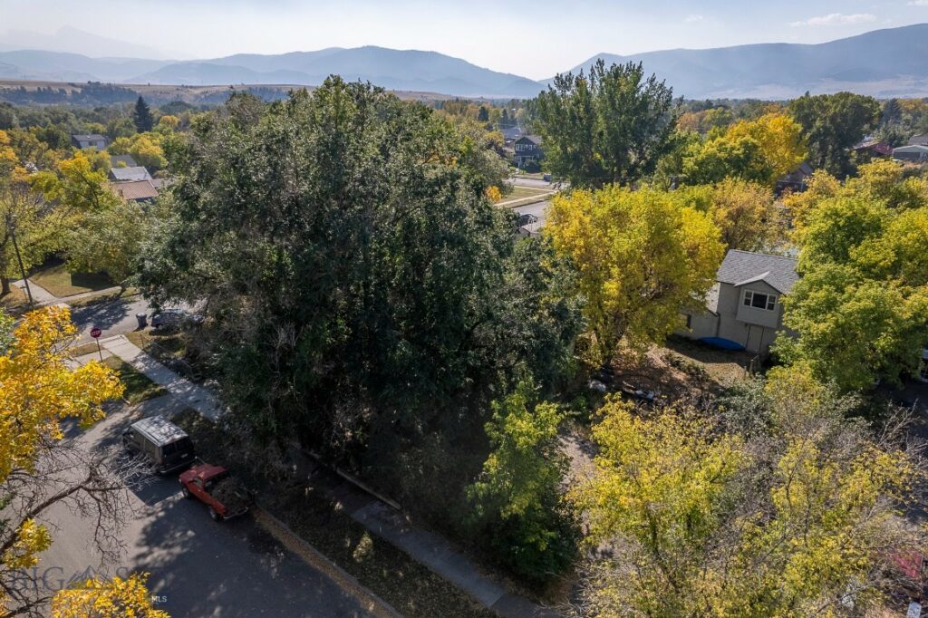 124 S M Street, Livingston MT 59047