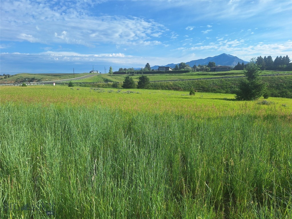 125 Blossom Way, Bozeman MT 59715
