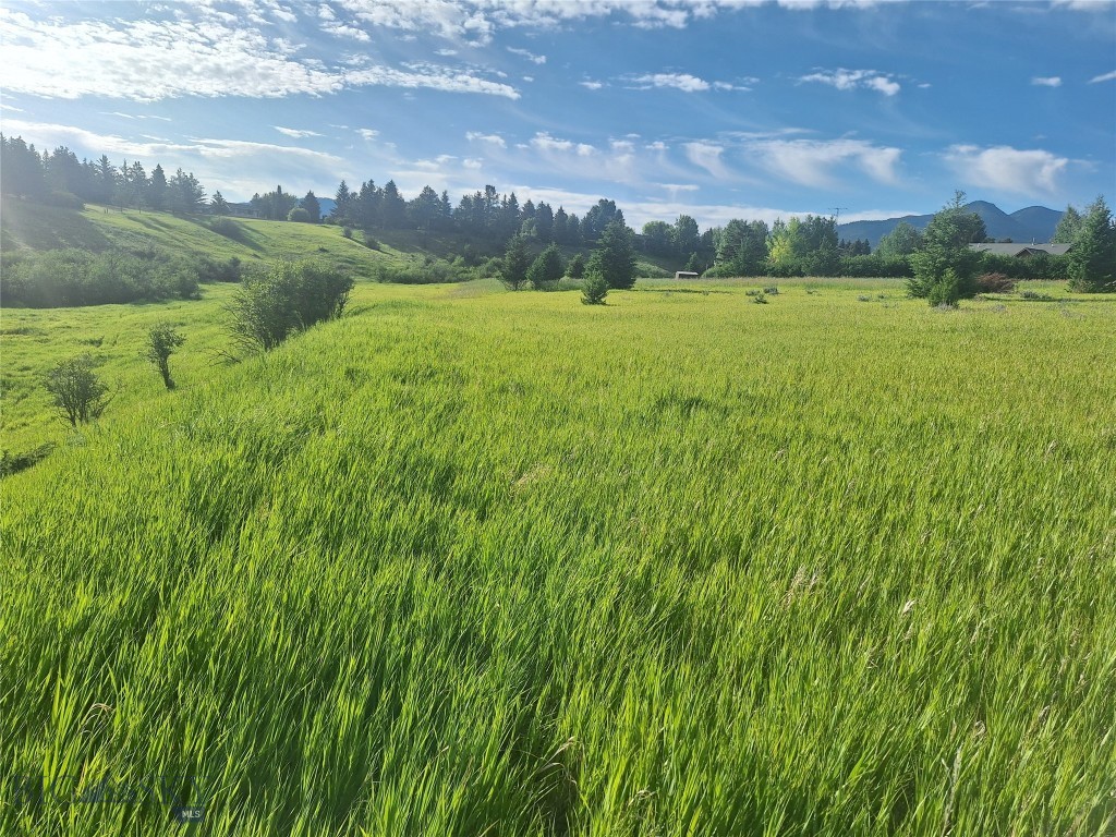 125 Blossom Way, Bozeman MT 59715