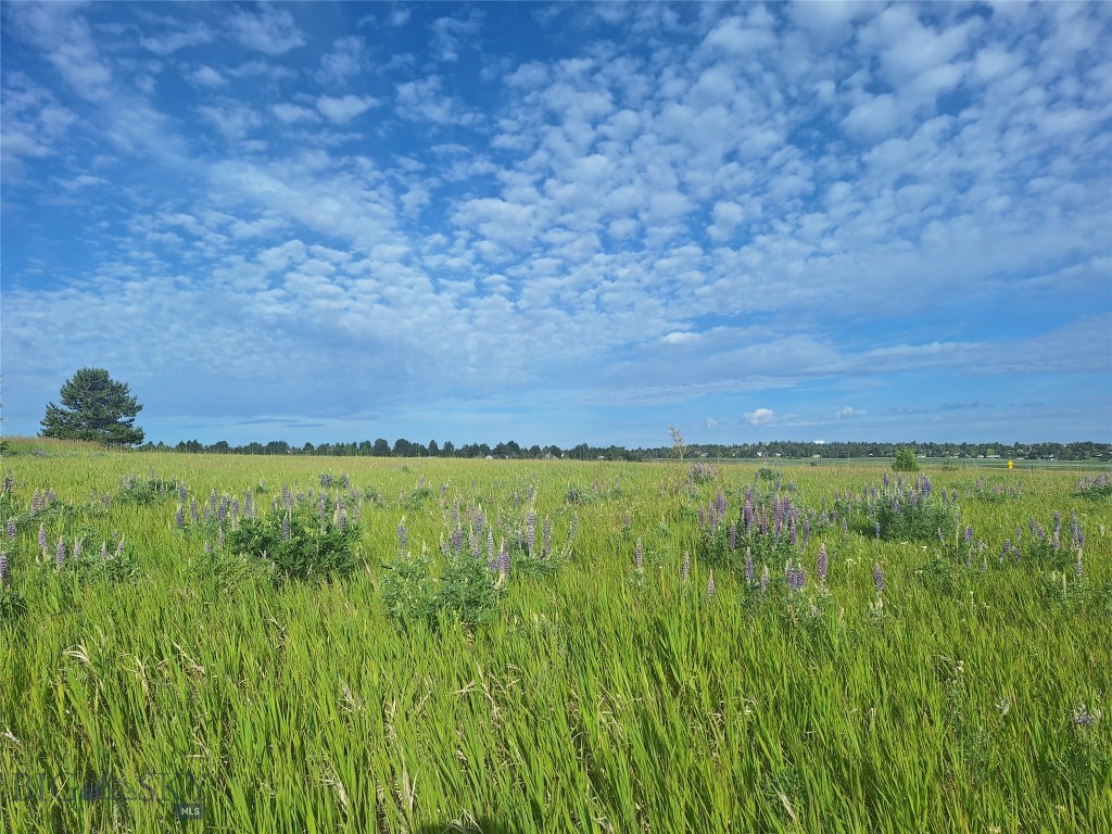 125 Blossom Way, Bozeman MT 59715