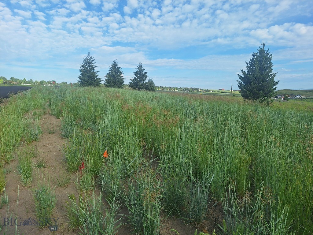 125 Blossom Way, Bozeman MT 59715
