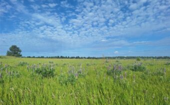 125 Blossom Way, Bozeman MT 59715
