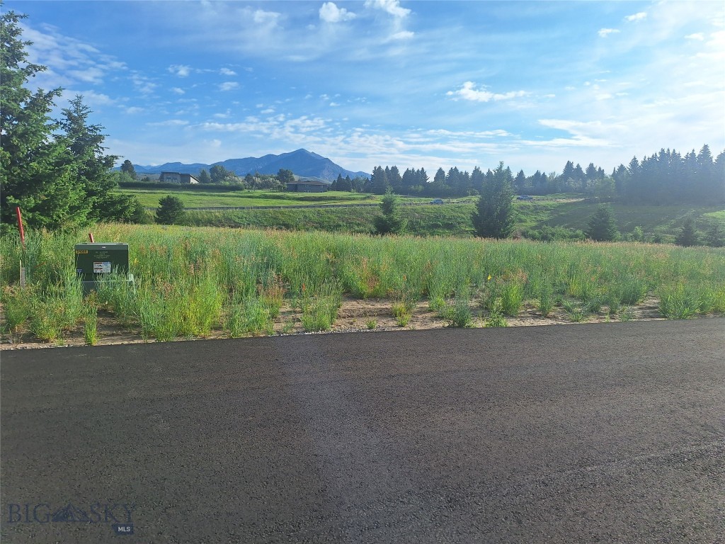125 Blossom Way, Bozeman MT 59715