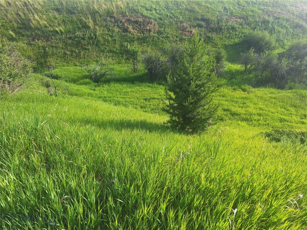 125 Blossom Way, Bozeman MT 59715