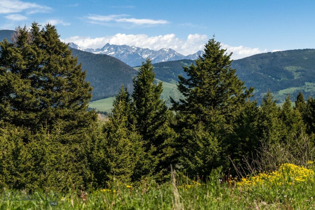 125 Rocky Mountain Meadows, Bozeman MT 59715