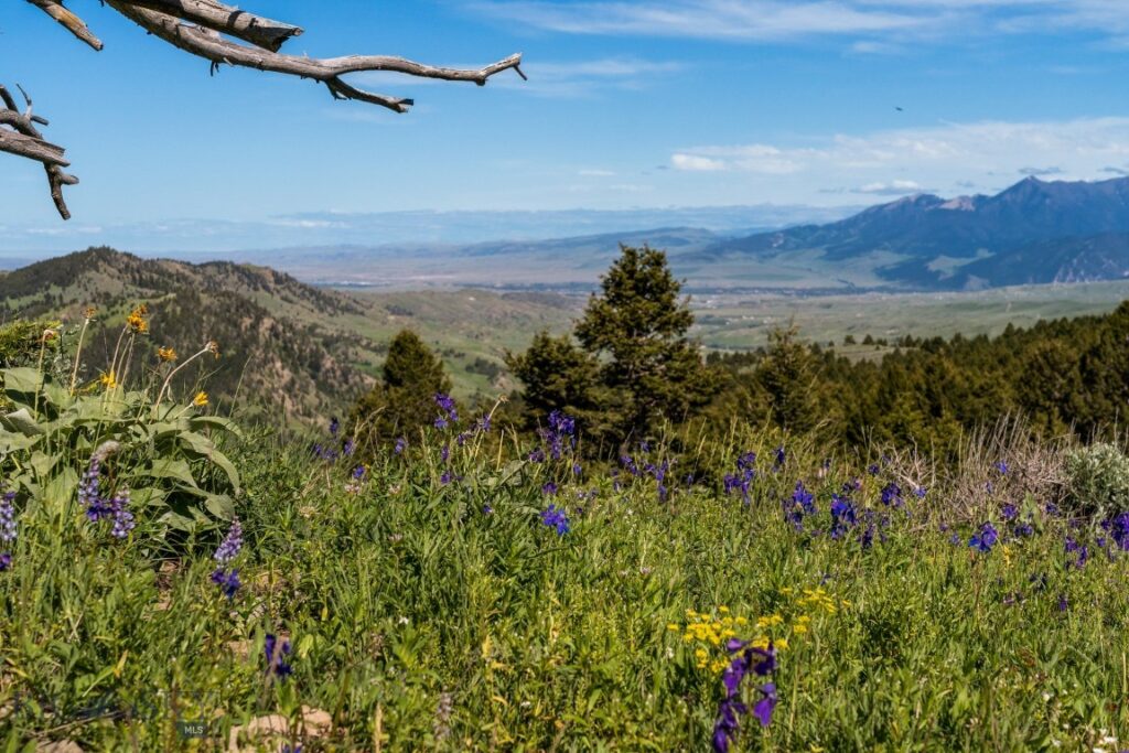 125 Rocky Mountain Meadows, Bozeman MT 59715