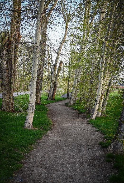13 Ramshorn Peak Lane, Bozeman MT 59718
