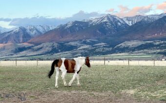 138 Inverness, Livingston MT 59047