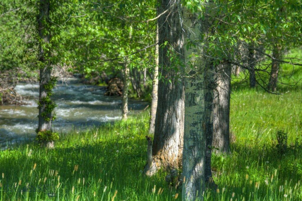 13830 (Lot A) Cottonwood Road, Bozeman MT 59718