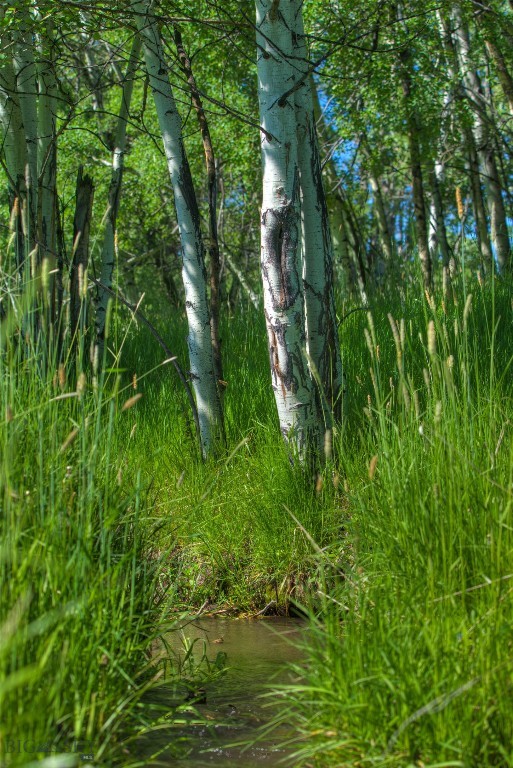 13830 (Lot A) Cottonwood Road, Bozeman MT 59718
