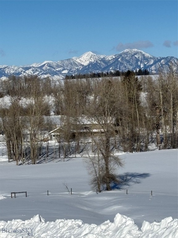 13830 (Lot A) Cottonwood Road, Bozeman MT 59718