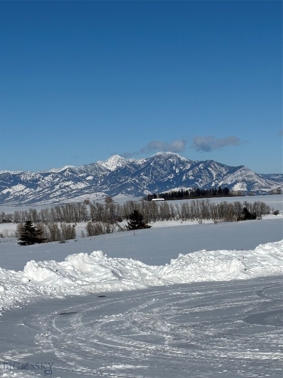 13830 (Lot A) Cottonwood Road, Bozeman MT 59718