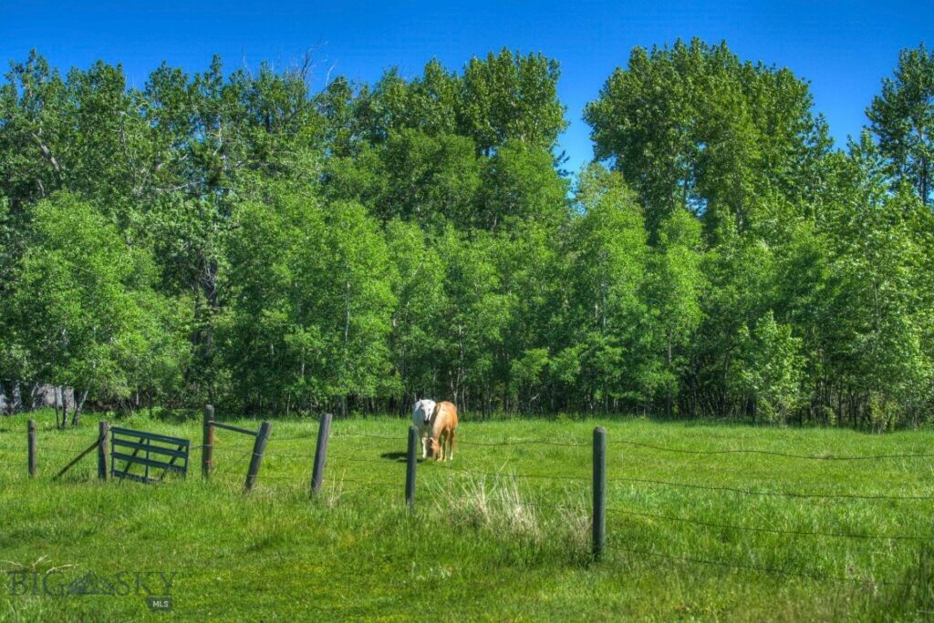 13830 (Lot A) Cottonwood Road, Bozeman MT 59718