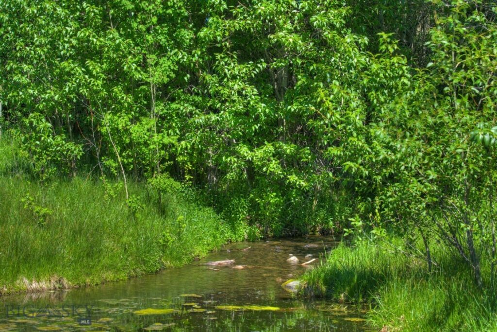 13830 (Lot A) Cottonwood Road, Bozeman MT 59718